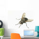 Common House Fly Macro Photo On White Alaska Wall Mural