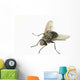 Common House Fly Macro Photo On White Alaska Wall Mural