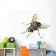 Common House Fly Macro Photo On White Alaska Wall Mural