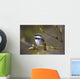 Chestnut Backed Chickadee Perched On Branch On Fox Island Wall Mural