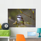 Chestnut Backed Chickadee Perched On Branch On Fox Island Wall Mural