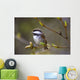 Chestnut Backed Chickadee Perched On Branch On Fox Island Wall Mural