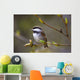 Chestnut Backed Chickadee Perched On Branch On Fox Island Wall Mural