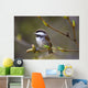 Chestnut Backed Chickadee Perched On Branch On Fox Island Wall Mural