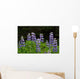 Close Up Of Lupine Wildflowers In Bloom Sc Ak Summer Wall Mural