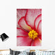 Macro View Of A Variegated Begonia Flower Wall Mural