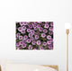 Up Whorled Lousewort Flowers Wall Mural