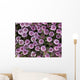 Close Up View Of Whorled Lousewort Flowers Wall Mural