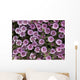 Up Whorled Lousewort Flowers Wall Mural