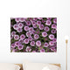 Close Up View Of Whorled Lousewort Flowers Wall Mural