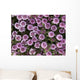 Close Up View Of Whorled Lousewort Flowers Wall Mural