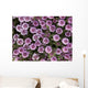 Up Whorled Lousewort Flowers Wall Mural