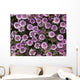 Up Whorled Lousewort Flowers Wall Mural