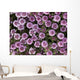 Up Whorled Lousewort Flowers Wall Mural