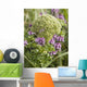 Close Up View Of Whorled Lousewort Flowers Wall Mural