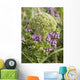 Up Whorled Lousewort Flowers Wall Mural