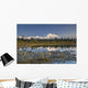 The Alaska Range And Denali's North Face Are Reflected Wall Mural