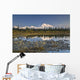 The Alaska Range And Denali's North Face Are Reflected Wall Mural