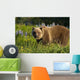 Brown Bear Foraging Wall Mural