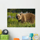 Brown Bear Foraging Wall Mural