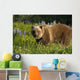 Brown Bear Foraging Wall Mural