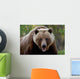 Closeup Of Brown Bear Yukon Territory Canada Spring Wall Mural