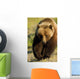 Frontal View Of Grizzly Walking Wall Mural