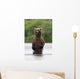 Brown Bear Sow Standing Wall Mural