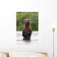 Brown Bear Sow Standing Wall Mural