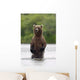Brown Bear Sow Standing Wall Mural
