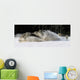 Pack Of Grey Wolves Running Through Deep Snow Wall Mural