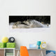 Pack Of Grey Wolves Running Through Deep Snow Wall Mural