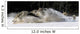 Pack Of Grey Wolves Running Through Deep Snow Wall Mural