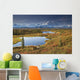 Scenic Of Bull Caribou And Tundra Pond Wall Mural