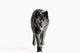 Archipelago Wolf Wall Decal