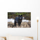 Archipelago Wolf Wall Mural
