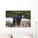 Archipelago Wolf Wall Mural