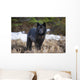 Archipelago Wolf Wall Mural