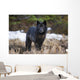 Archipelago Wolf Wall Mural