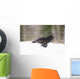 Blurred Motion View Of A Wolf In *Black Phase* Running Wall Mural