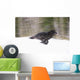 Blurred Motion View Of A Wolf In *Black Phase* Running Wall Mural