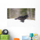 Blurred Motion View Of A Wolf In *Black Phase* Running Wall Mural
