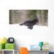 Blurred Motion View Of A Wolf In *Black Phase* Running Wall Mural