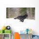 Blurred Motion View Of A Wolf In *Black Phase* Running Wall Mural