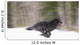 Blurred Motion View Of A Wolf In *Black Phase* Running Wall Mural