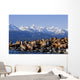 Steller Sea Lions Haul Out On A Small Island Wall Mural