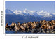 Steller Sea Lions Haul Out On A Small Island Wall Mural
