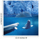 Belugas Underwater W/View Of Glacier Composite Wall Mural