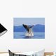Humpback Whale Breaching In Inside Passage Se Ak Summer Wall Mural