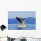 Humpback Whale Breaching In Inside Passage Se Ak Summer Wall Mural